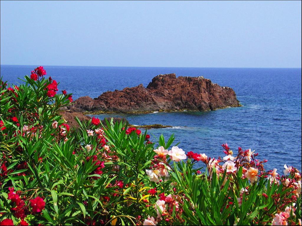 Vacancéole - Les Calanques Du Parc Aparthotel